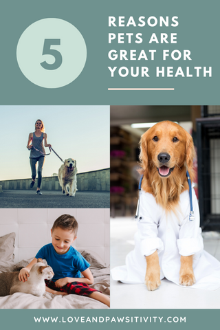 Reasons Pets are Great for Your Health