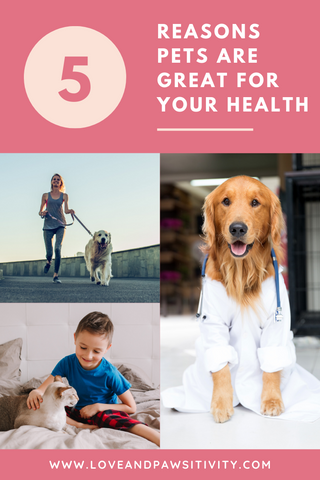 Reasons Dogs are Great for Your Health