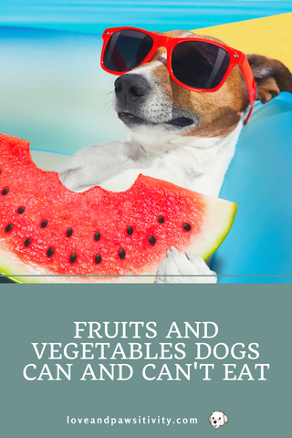 Fruits and Vegetables Dogs Can and Can't Eat