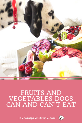 Fruits and Vegetables Dogs Can and Can't Eat