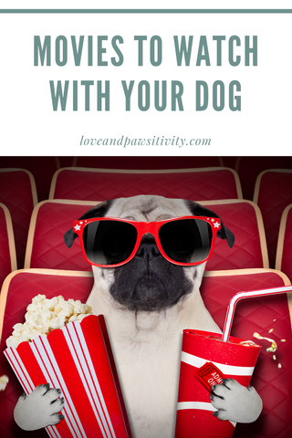 Movies to Watch With Your Dog