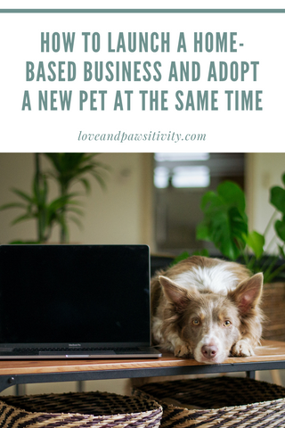 How to Launch a Home-Based Business and Adopt a New Pet at the Same Time