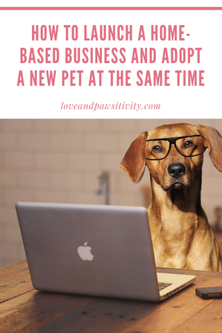 How to Launch a Home-Based Business and Adopt a New Dog at the Same Time