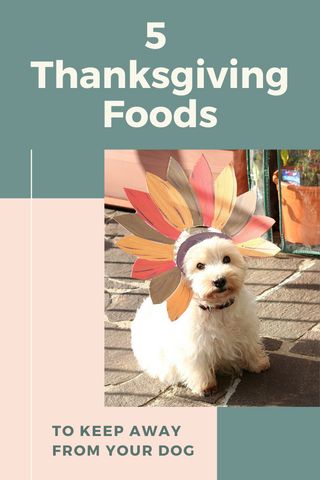5 Thanksgiving Foods Dogs Can't Eat