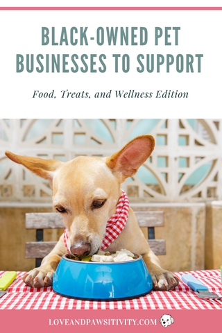 Food, Treats, and Wellness Edition
