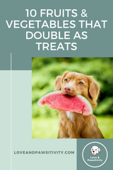 vegetables and fruits for dog treats