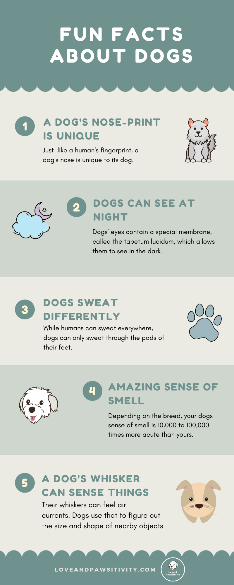 Fun Facts About Dogs