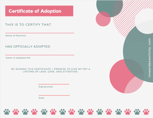 Pet Adoption Certificate