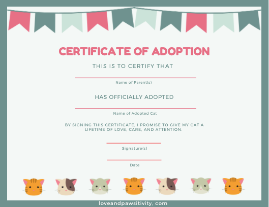 Cat Adoption Certificate