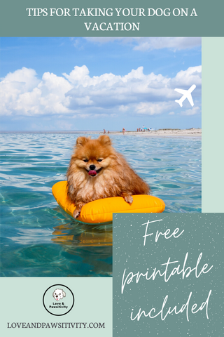 Tips for Taking Your Dog on a Vacation Free Printable Included
