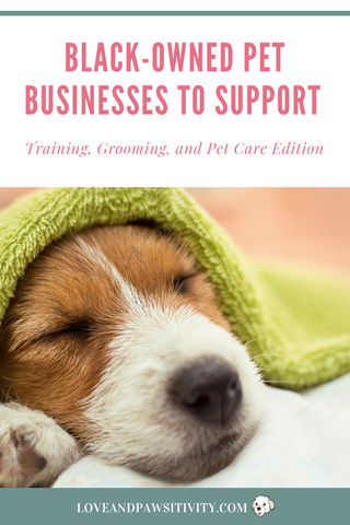 Black Owned Pet Businesses to Support - Training, Grooming, and Pet Care Edition