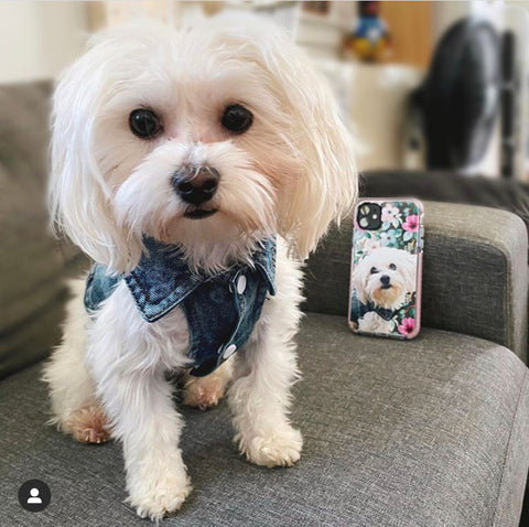 Dog Phone Cover