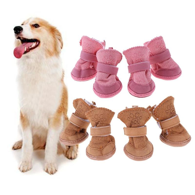 dog accessories sale