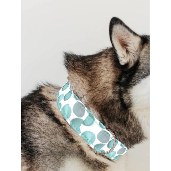 LV dog collar - various colors – The Frenchie Shop