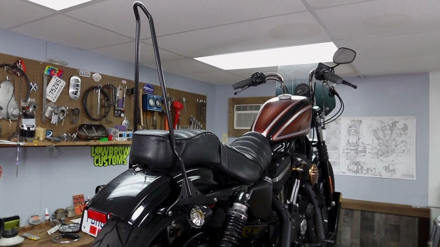 New sissy bar installed.