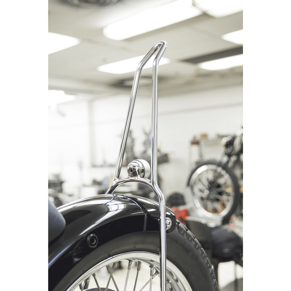 sissy bar bobber