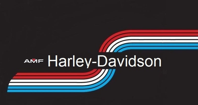 Who really owns Harley Davidson?
