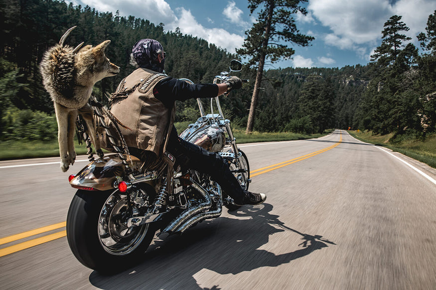Graeme and Gus the Coyote ripping the open roads of the Black Hills. Lowbrow Customs - Sturgis 2017