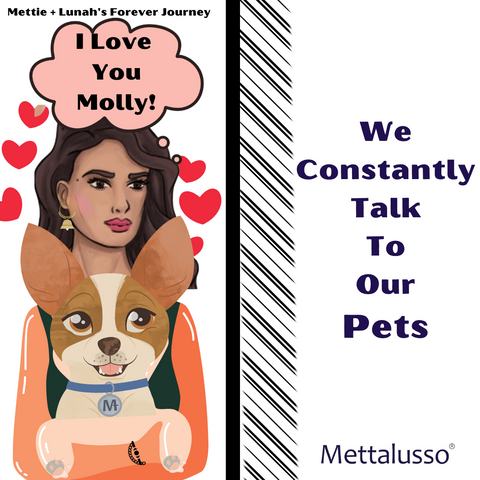 Mettie And Lunahs Forever Journey new episode When Animals and Pets Talk Back