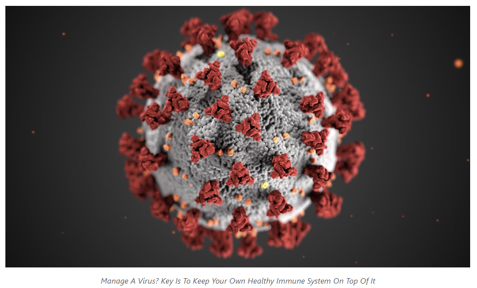 Mettalusso dit de garder le système immunitaire naturel au courant des virus au quotidien