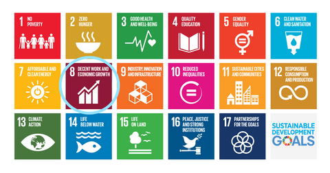 Image shows the 17 UN Sustainable Development Goals. with Goal 8 being circled in blue to highlight its importance to the blog post