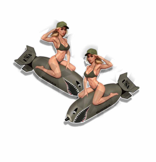 US Military Pin Up Bomber Sexy Vintage Sticker WW2 Nose Art Mirrored Decals