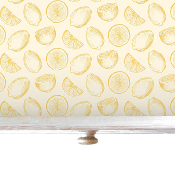 Desert Gold Cactus Contact Paper, Peel And Stick Wallpaper, Removable  Wallpaper, Shelf Liner, Drawer Liner