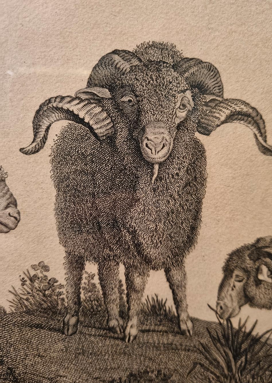 De Bonne Facture - Musée des Archives nationales à Paris, France - Tricolor - Notre engagement pour les laines françaises