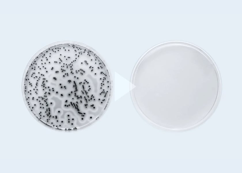 LARQ BOTTLE PUREVIS™ antimicrobial efficacy