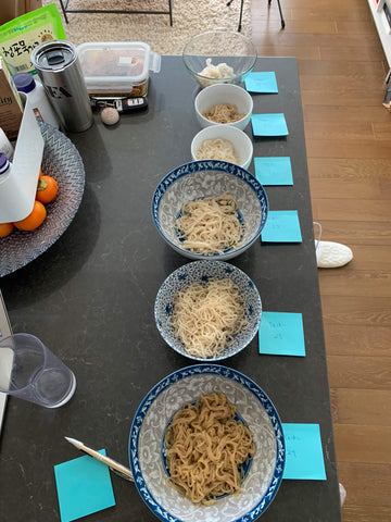 Shirataki Noodle Experiments