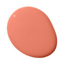 salmon paint