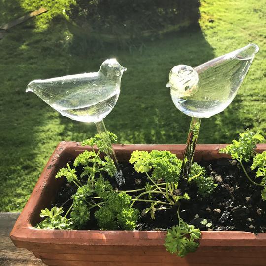 3 Pcs Self-Watering Crystal Bird For Garden