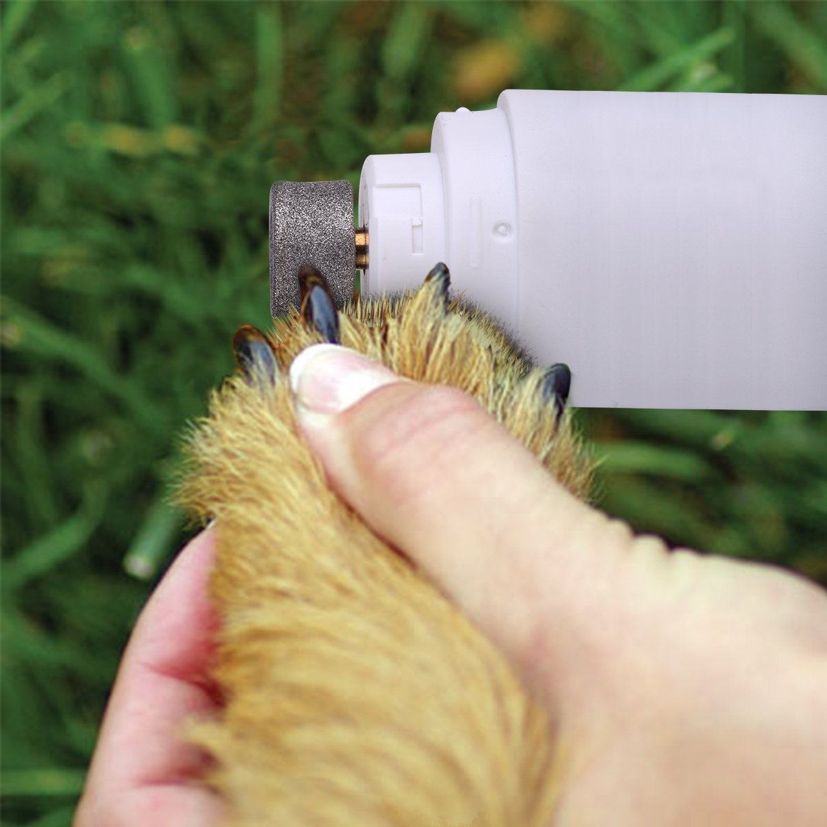 Pet Nail Grinder