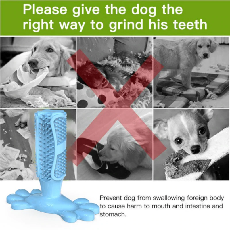 Dog Toothbrush