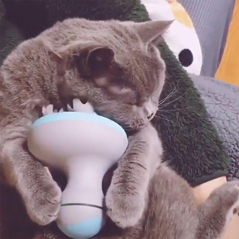 Pet Intelligent Charging Cat Massager 3D Head Massager