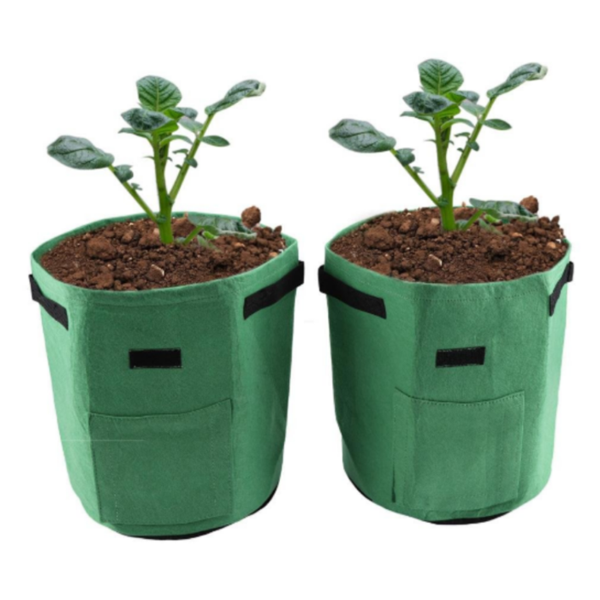 Potato Plant Bag