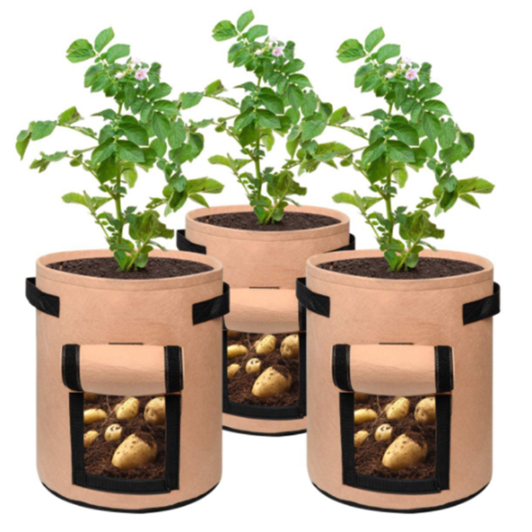 Potato Plant Bag