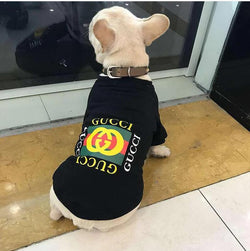 gucci dog clothes