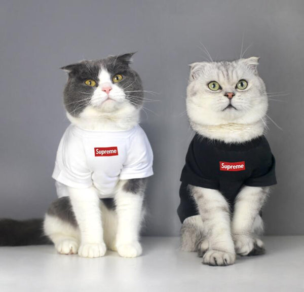 Cat dog supreme sweatshirt – NiceyDoggy