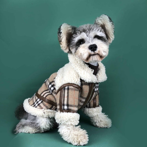 burberry jacket for dogs