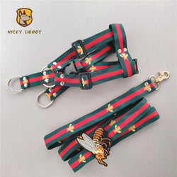 gucci leash and collar