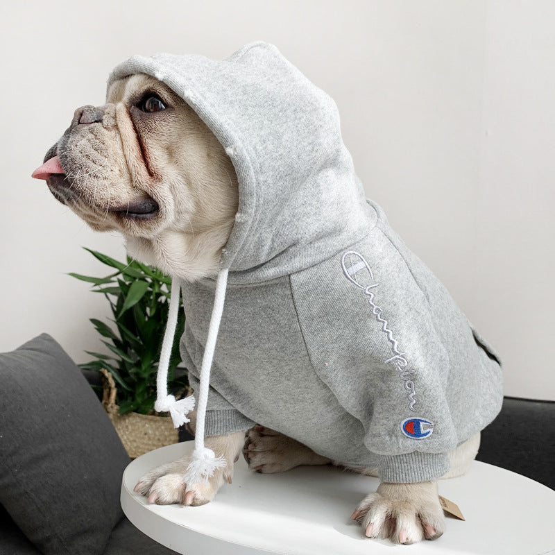 champion hoodie for dogs