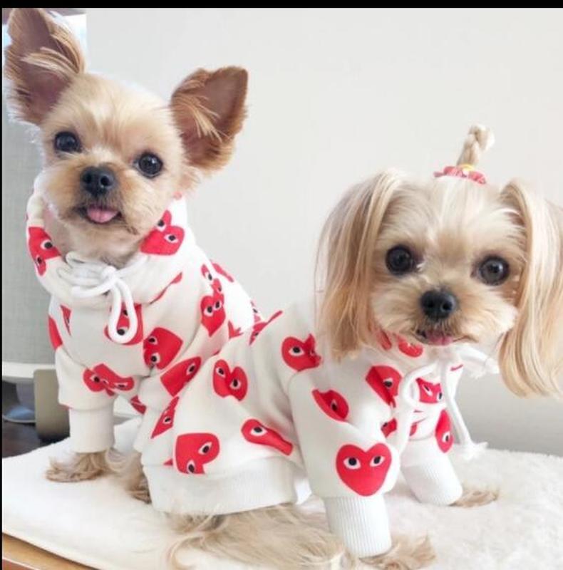 cdg dog hoodie