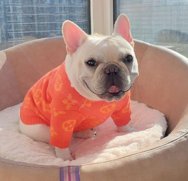 louis vuitton dog sweatshirt