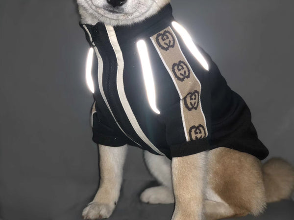 gucci outfits for dogs