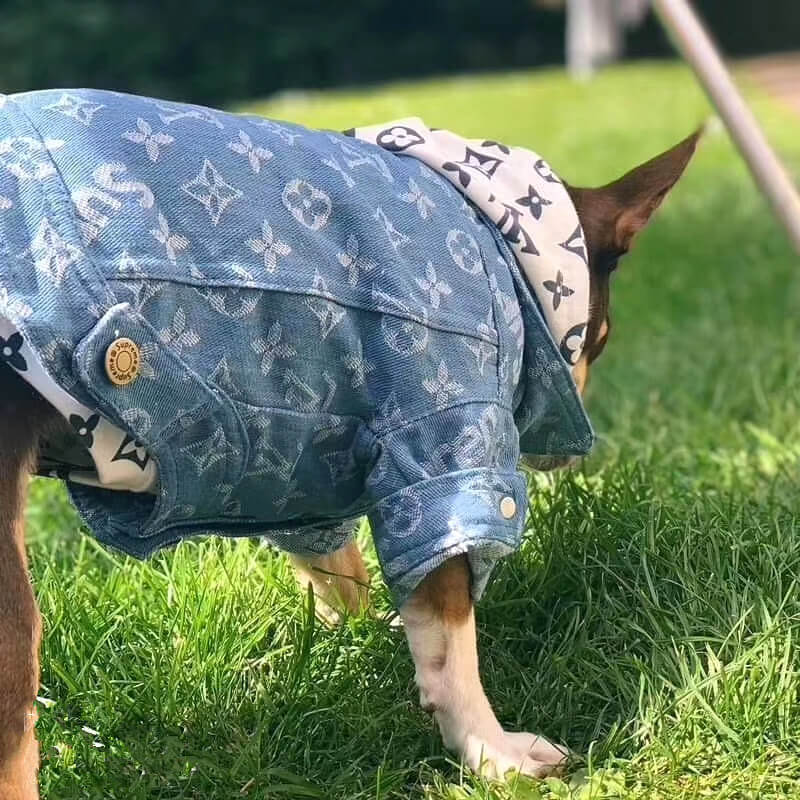 dog blue demin jacket LV Pupreme box log – NiceyDoggy