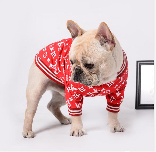 moncler french bulldog jacket