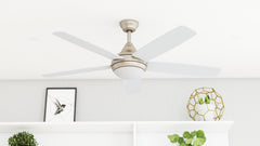 Ashby champagne ceiling fan by Prominence Home