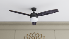 Enoki Smart Ceiling Fan with Matte Black finish by Prominence Home