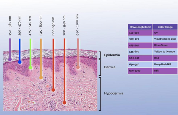 Light Penetration into the Skin